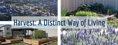 harvest at damonte ranch luxury apartment community in reno nevada